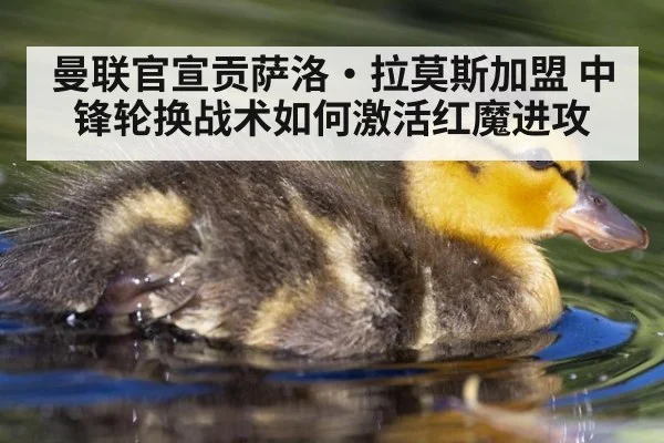 曼联官宣贡萨洛·拉莫斯加盟 中锋轮换战术如何激活红魔进攻